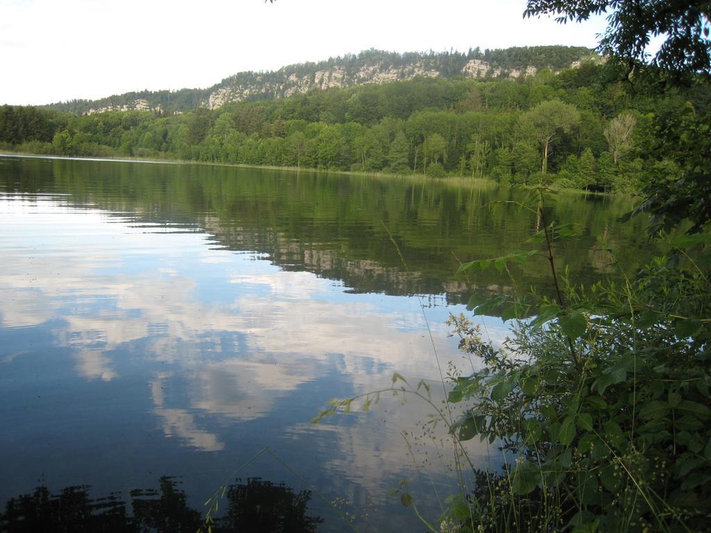 Auberge du Hérisson La Chaux-du-Dombief Esterno foto